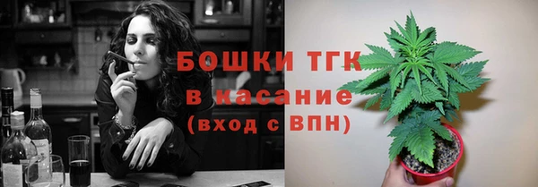 spice Аркадак