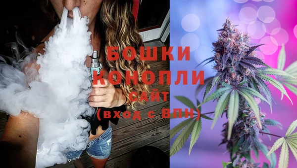 spice Аркадак