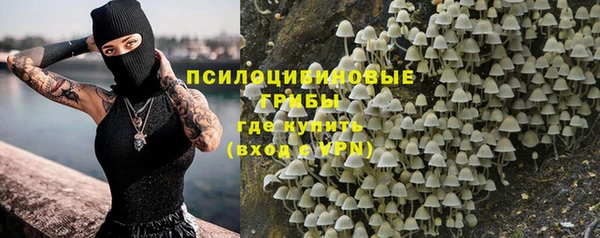 spice Аркадак